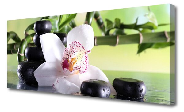 Obraz Canvas Orchidea kamene bambus 125x50 cm