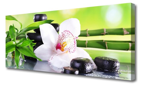 Obraz Canvas Orchidea kamene zen bambus 125x50 cm