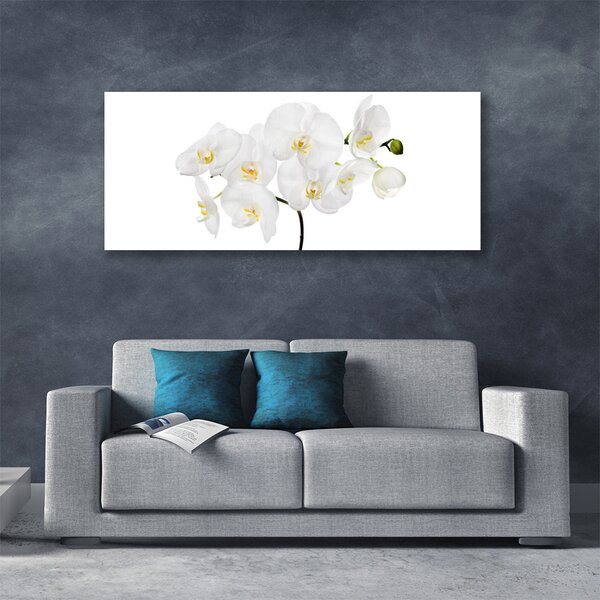 Obraz Canvas Biela orchidea kvety 125x50 cm