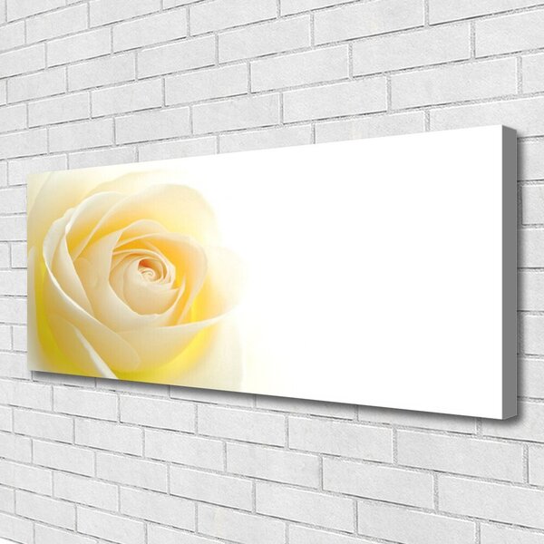 Obraz Canvas Ruže kvet rastlina 125x50 cm