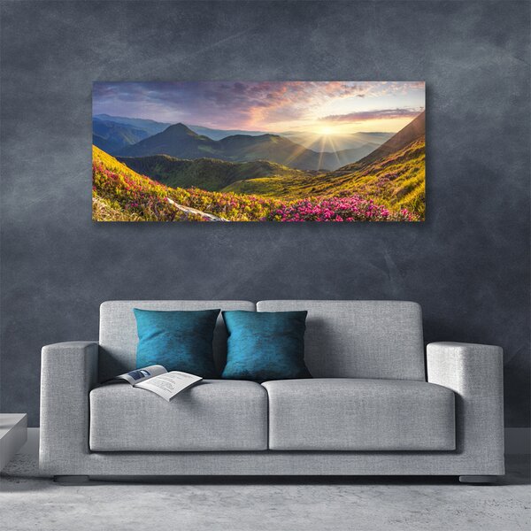 Obraz Canvas Hora lúka slnko krajina 125x50 cm