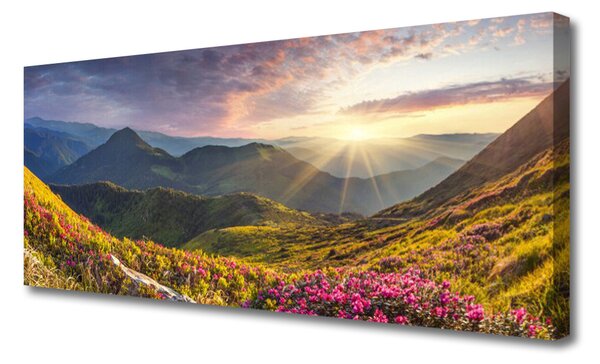 Obraz Canvas Hora lúka slnko krajina 125x50 cm
