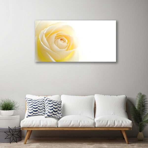 Obraz Canvas Ruže kvet rastlina 125x50 cm