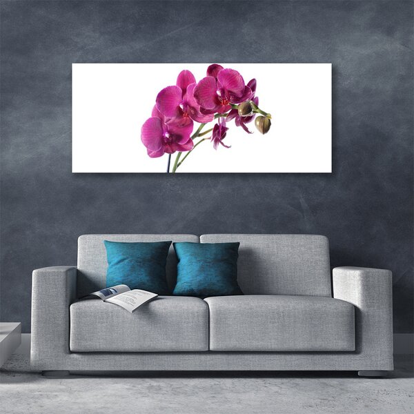 Obraz Canvas Orchidea kvety príroda 125x50 cm