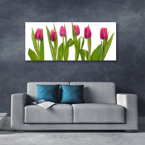 Obraz Canvas Tulipány kvety rastlina 120x60 cm