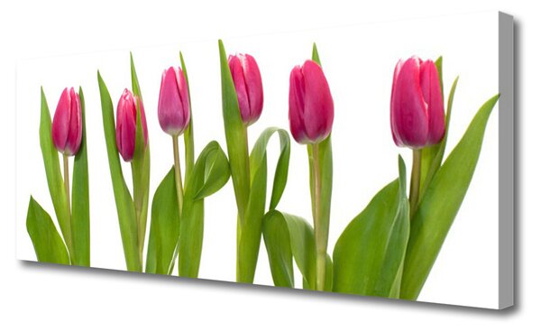 Obraz Canvas Tulipány kvety rastlina 120x60 cm