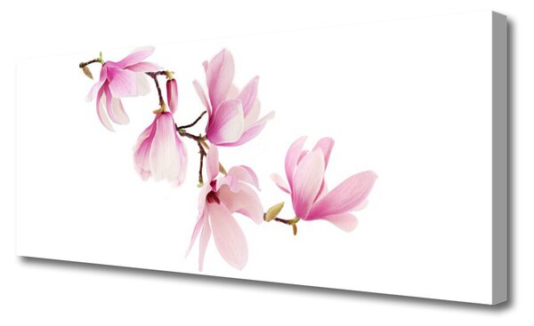 Obraz Canvas Kvety rastlina príroda 125x50 cm
