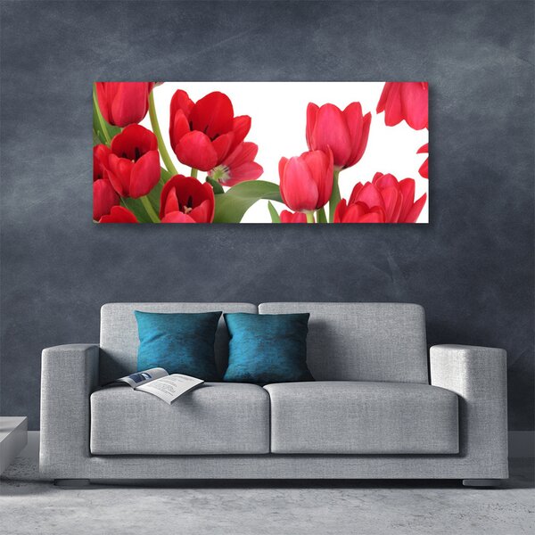 Obraz Canvas Tulipány kvety rastlina 125x50 cm