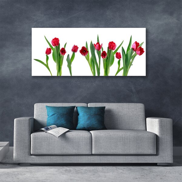 Obraz Canvas Tulipány kvety rastlina 125x50 cm