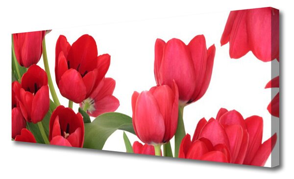 Obraz Canvas Tulipány kvety rastlina 125x50 cm