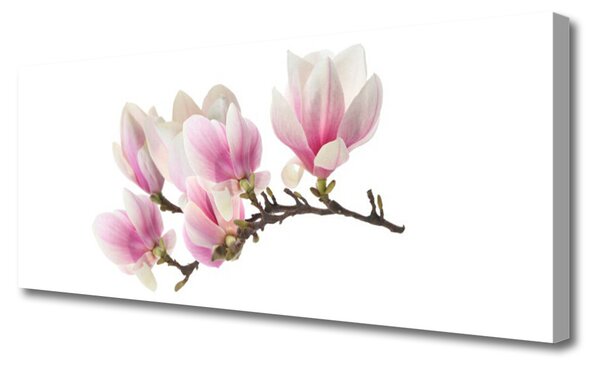 Obraz Canvas Kvety rastlina príroda 125x50 cm