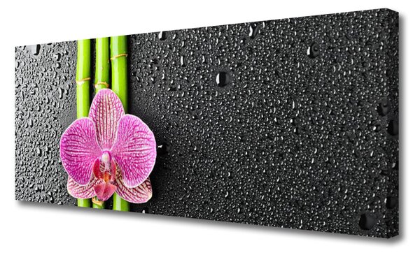 Obraz Canvas Bambus kvet rastlina príroda 125x50 cm