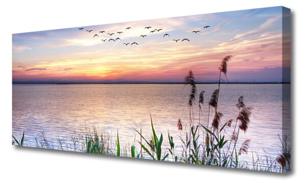 Obraz Canvas More vtáky nebo krajina 125x50 cm