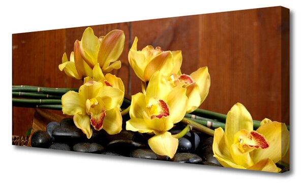 Obraz Canvas Kvet kamene rastlina 125x50 cm