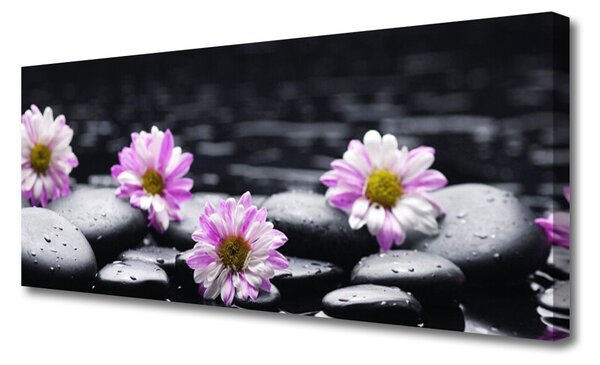 Obraz Canvas Kvet kamene rastlina 125x50 cm