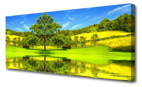 Obraz Canvas Lúka strom príroda 125x50 cm