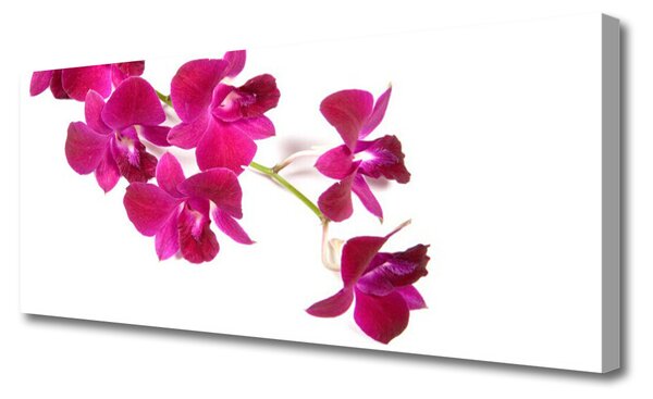 Obraz Canvas Kvety rastlina príroda 125x50 cm