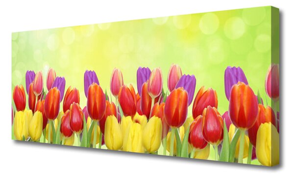 Obraz Canvas Tulipány kvety rastlina 125x50 cm