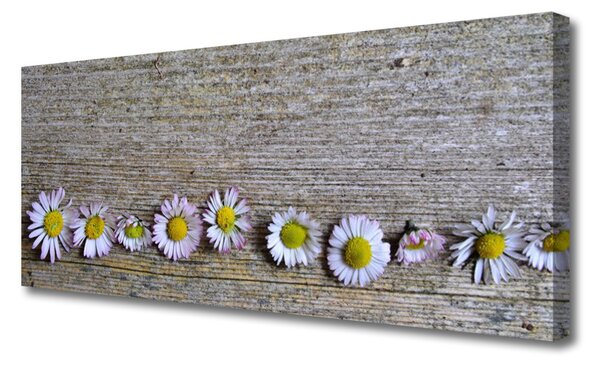 Obraz Canvas Sedmokráska rastlina príroda 125x50 cm