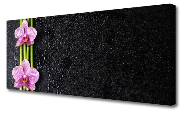 Obraz Canvas Bambus kvet rastlina príroda 125x50 cm