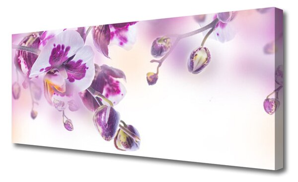 Obraz Canvas Kvety rastlina príroda 125x50 cm