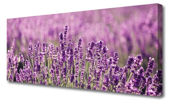 Obraz Canvas Kvety rastlina príroda 125x50 cm