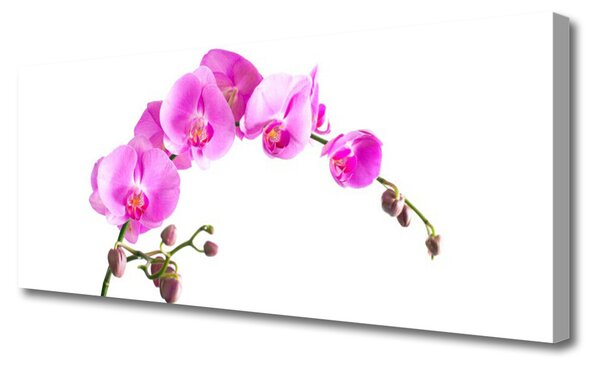 Obraz Canvas Kvety rastlina príroda 125x50 cm