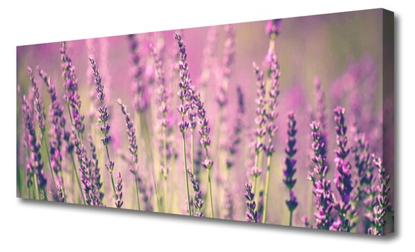 Obraz Canvas Kvety rastlina príroda 125x50 cm