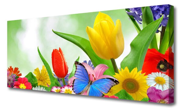 Obraz Canvas Motýľ kvety príroda 125x50 cm