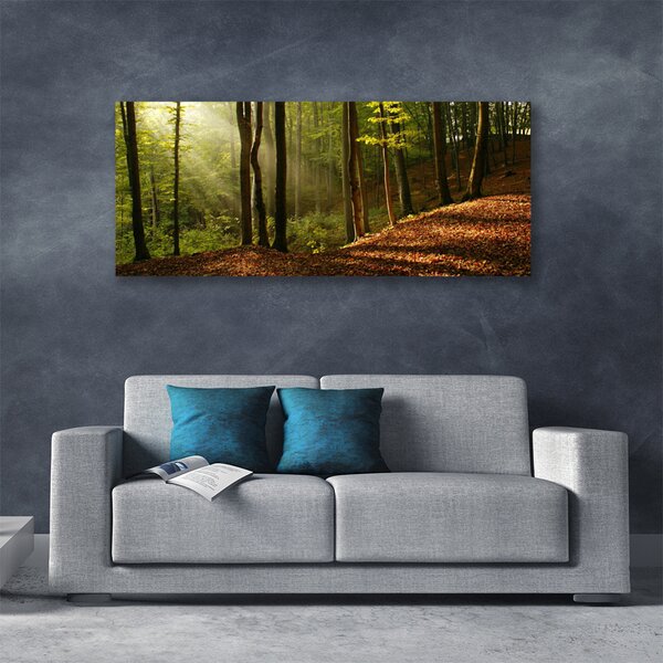 Obraz Canvas Les stromy príroda 125x50 cm