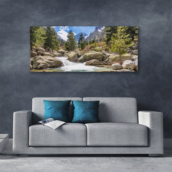 Obraz Canvas Hora les kamene rieka 125x50 cm