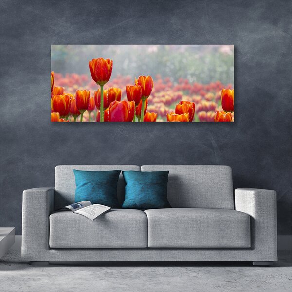 Obraz Canvas Tulipány kvety rastlina 125x50 cm