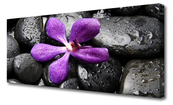 Obraz Canvas Kvet kamene umenie 125x50 cm