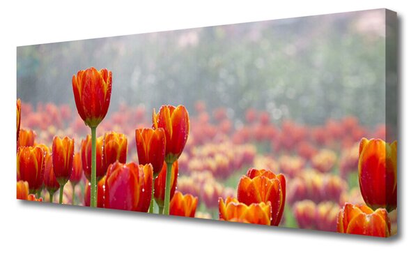Obraz Canvas Tulipány kvety rastlina 125x50 cm