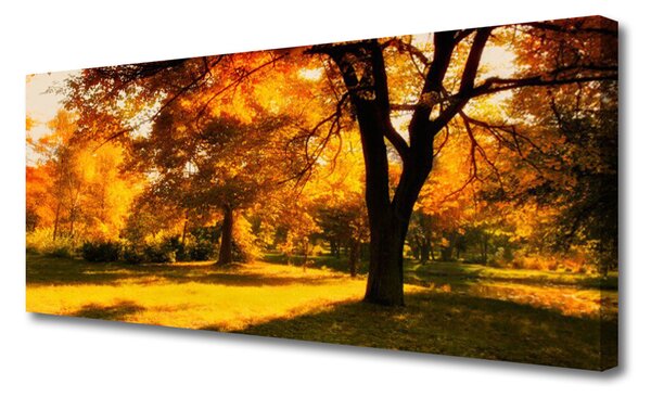 Obraz Canvas Stromy jeseň príroda 125x50 cm