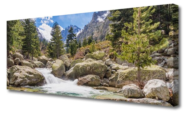 Obraz Canvas Hora les kamene rieka 125x50 cm
