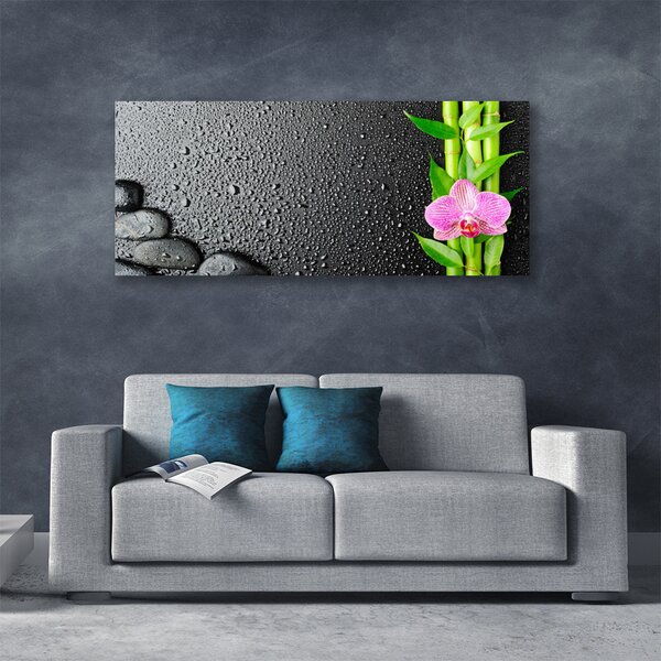 Obraz Canvas Bambus stonka kvet rastlina 125x50 cm