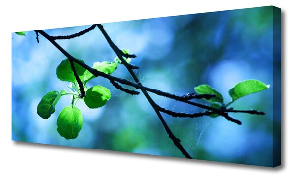 Obraz Canvas Vetva listy rastlina príroda 125x50 cm