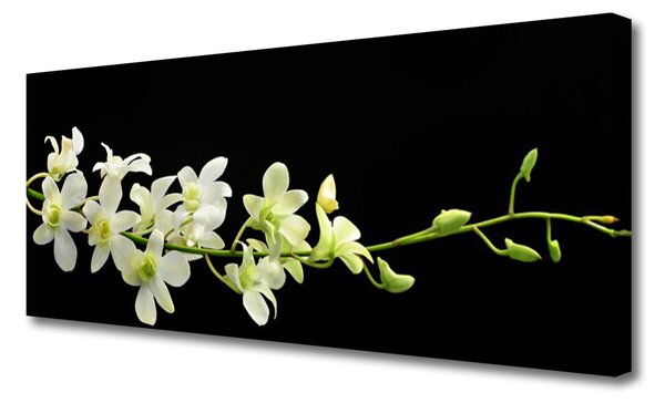 Obraz na plátne Kvety rastlina príroda 125x50 cm