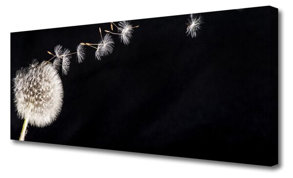Obraz Canvas Púpava rastlina 125x50 cm