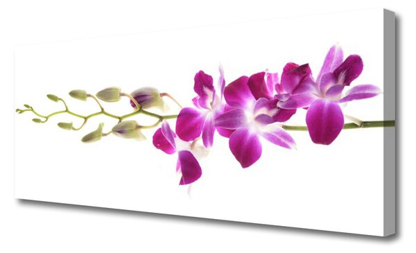 Obraz na plátne Kvety rastlina príroda 125x50 cm