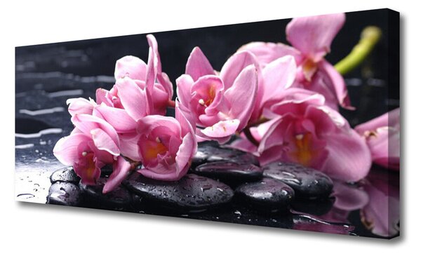 Obraz na plátne Kvet kamene rastlina 120x60 cm