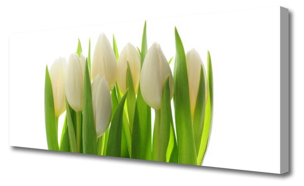 Obraz na plátne Tulipány rastlina príroda 125x50 cm