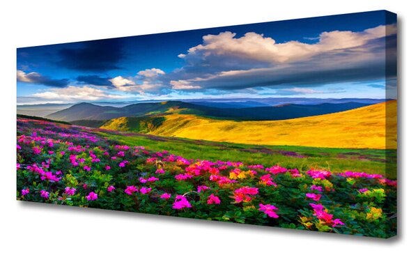 Obraz na plátne Lúka kvety príroda 125x50 cm