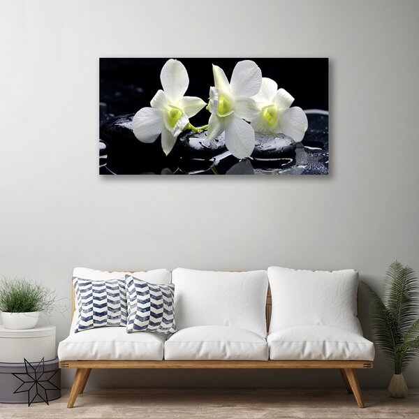 Obraz na plátne Kvet kamene rastlina 125x50 cm