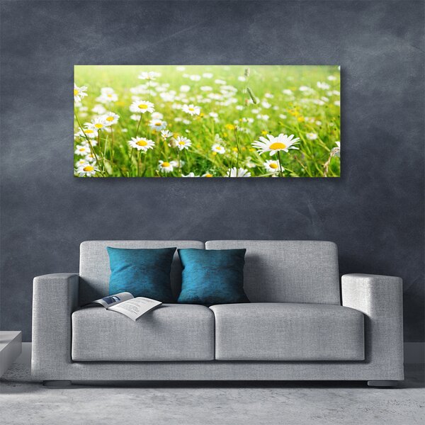 Obraz na plátne Lúka sedmokrásky príroda 120x60 cm