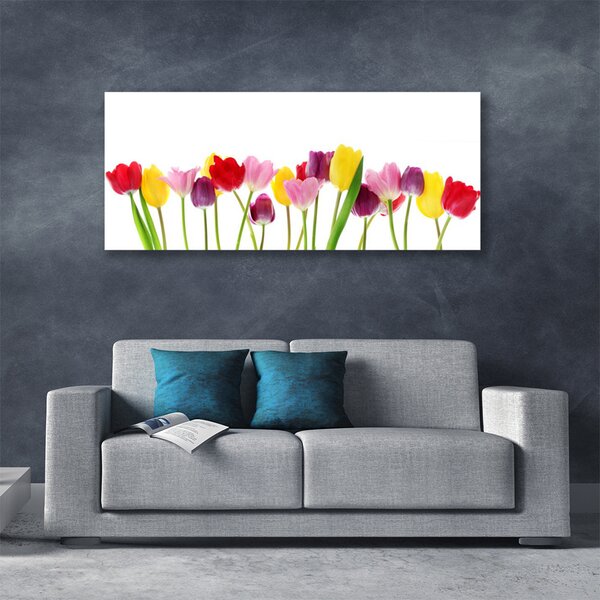 Obraz na plátne Tulipány kvety rastlina 140x70 cm