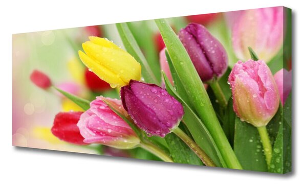 Obraz na plátne Tulipány kvety rastlina 125x50 cm