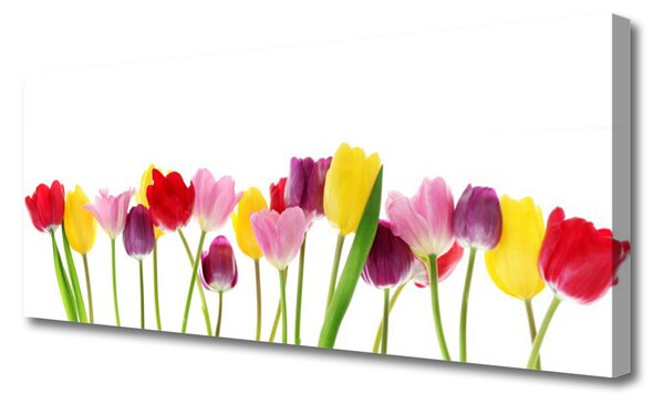 Obraz na plátne Tulipány kvety rastlina 125x50 cm