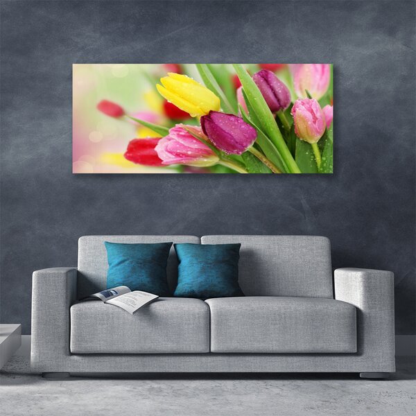 Obraz na plátne Tulipány kvety rastlina 125x50 cm
